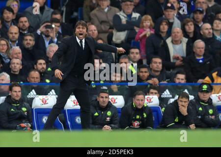 Chelsea manager Antonio Conte gesti sul perimetro Foto Stock