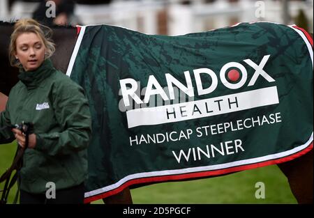 Randox Health marcare a caldo su un cavallo nell'anello della parata Foto Stock