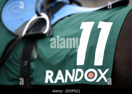 Randox Health marcare a caldo su un cavallo nell'anello della parata Foto Stock