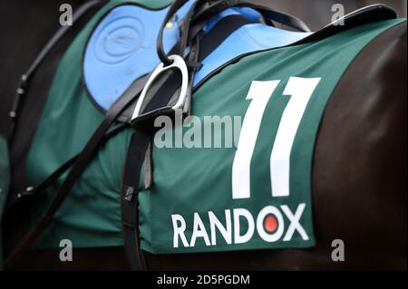 Randox Health marcare a caldo su un cavallo nell'anello della parata Foto Stock