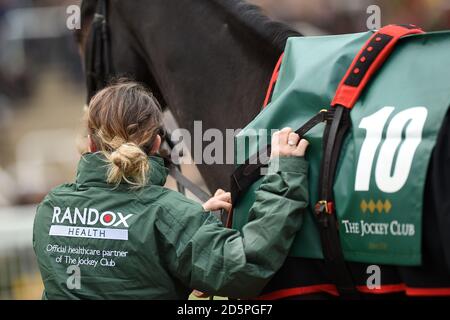 Randox Health marcare a caldo su un cavallo nell'anello della parata Foto Stock