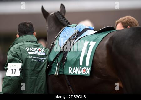 Randox Health marcare a caldo su un cavallo nell'anello della parata Foto Stock