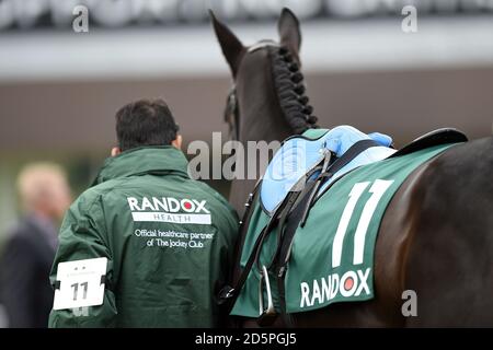 Randox Health marcare a caldo su un cavallo nell'anello della parata Foto Stock
