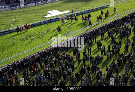 Una parata di caccia sul corso durante il giorno di campagna Dell'Open all'Ippodromo di Cheltenham Foto Stock