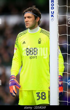 Il Nottingham Forest portiere Vladimir Stojkovic Foto Stock