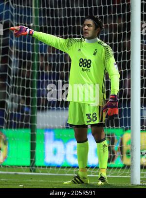 Il Nottingham Forest portiere Vladimir Stojkovic Foto Stock