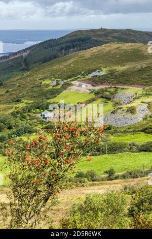 Vista su Lough Derg da Tountinna, Tonn Toinne, con un albero di rowan, Sorbus aucuparia, con bacche rosse, nelle montagne Arra sul Lough Derg w Foto Stock