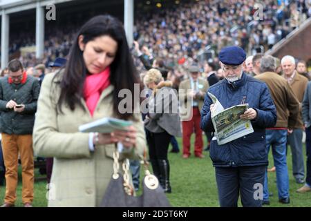 Racegoer controlla il modulo nel posto di gara durante St Patrick's Day del Cheltenham Festival 2017 Foto Stock