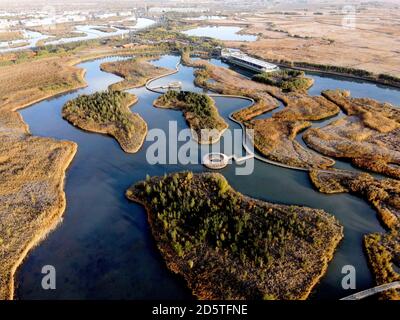 Zhangye. 14 ottobre 2020. La foto aerea del 14 ottobre 2020 mostra una vista del parco nazionale delle paludi di Zhangye, provincia di Gansu, nella Cina nord-occidentale. Credit: Chen li/Xinhua/Alamy Live News Foto Stock