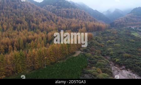 Dingxi. 14 ottobre 2020. La foto aerea del 14 ottobre 2020 mostra una vista nella contea di Weiyuan di Dingxi, nella provincia di Gansu, nella Cina nord-occidentale. Credit: Wang Kexian/Xinhua/Alamy Live News Foto Stock