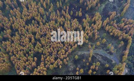 Dingxi. 14 ottobre 2020. La foto aerea del 14 ottobre 2020 mostra una vista nella contea di Weiyuan di Dingxi, nella provincia di Gansu, nella Cina nord-occidentale. Credit: Wang Kexian/Xinhua/Alamy Live News Foto Stock