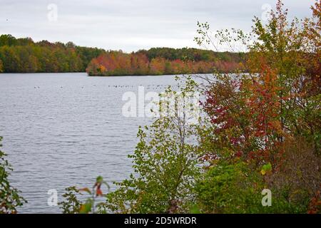 Giornata nuvolosa al lago di Audubon Plainsboro Preserve con autunno colori fogliame sulle loro ultime gambe -07 Foto Stock