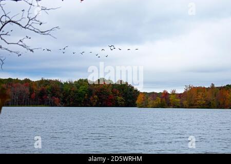 Giornata nuvolosa al lago di Audubon Plainsboro Preserve con autunno colori fogliame sulle loro ultime gambe -10 Foto Stock