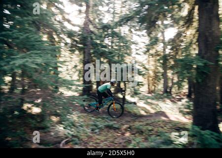 Un uomo guida la sua bicicletta alle massime velocità al Timberline Bike Park in Oregon. Foto Stock