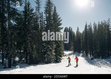 Due racchette da neve giovani donne sul monte Cappa in una giornata di sole. Foto Stock