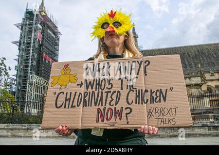 WESTMINSTER LONDON, REGNO UNITO 14 OTTOBRE 2020. I manifestanti di Pro Europe dimostrano con cartelli fuori dal Parlamento, mentre il primo ministro Boris Johnson si prepara a tenere oggi colloqui croccanti sulla Brexit con il presidente della Commissione europea Ursula von der Leyen per tentare di concludere un accordo prima che il Regno Unito lasci l’Unione europea il 31 dicembre. Credit: amer Ghazzal/Alamy Live News Foto Stock