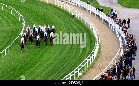 Corridori e corridori nella gara di ostacoli di handicap di Pertemps Network Durante il secondo giorno della Showcase all'ippodromo di Cheltenham Foto Stock