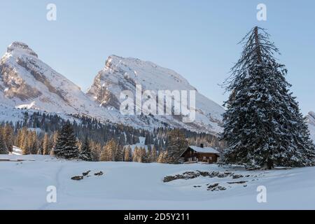 La Svizzera, nel cantone di San Gallo, vicino Toggenburg, Alt St. Johann, Vista Montagne Churfirsten in inverno Foto Stock