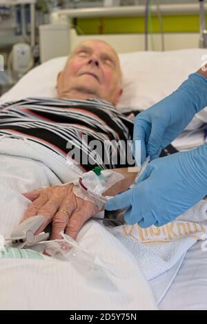 Prelievo di un campione di sangue dal senior uomo in terapia intensiva dopo un attacco di cuore Foto Stock