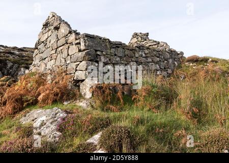 Ruined Croft Building, Assynt, NW Highlands, Scozia, Regno Unito Foto Stock