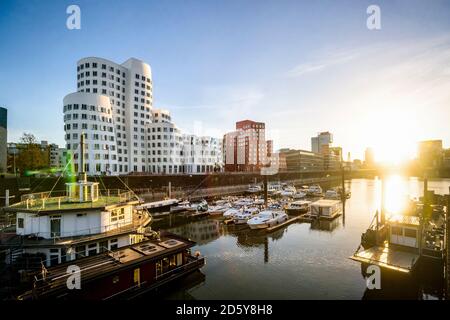 Germania, Dusseldorf, Media harboour Foto Stock