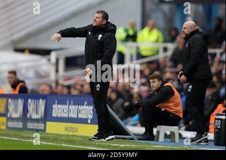 Steve Cotterill, responsabile della città di Birmingham (a sinistra) Foto Stock