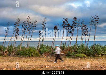 Spagna, Andalusia, Parco Naturale di Cabo de Gata-Nijar, Playa de los Genoveses, uomo con passaggio in bicicletta Foto Stock