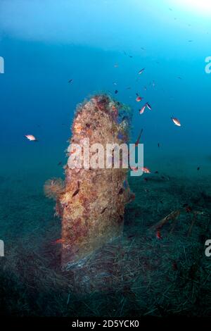 Rack del Nord America B25 Mitchell, cannone, Corsica Foto Stock