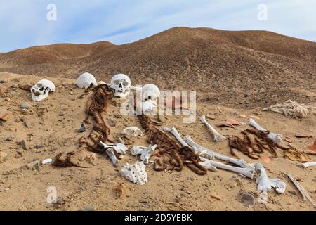 Perù, Nazca, Cahuachi centro cerimoniale, teschi e ossa nel deserto Foto Stock