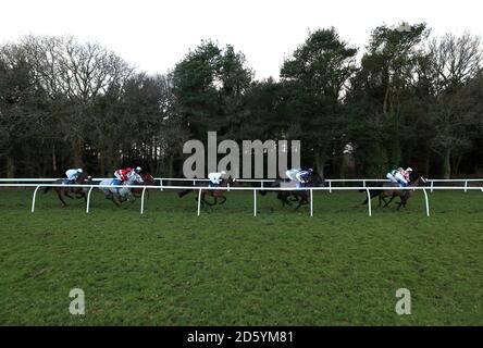 I corridori e i corridori nella rete dei Percemps handicap durante Super Domenica all'Ippodromo di Exeter Foto Stock