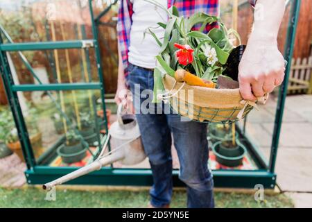 Primo piano di uomo che tiene cesto con fiori e annaffiatoio prima serra in giardino Foto Stock