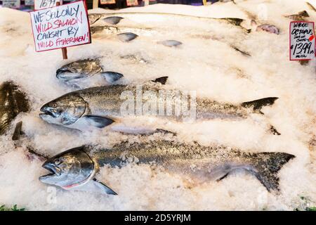 USA, Washington state, Seattle, Pike Place Fish Market, salmoni selvatici allo stand del mercato Foto Stock