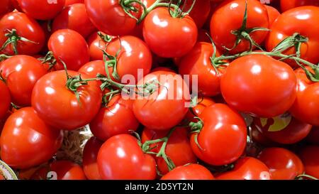 mazzo di pomodori rossi Foto Stock