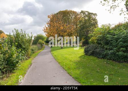 Vigne Parco in Droitwich Spa, Worcestershire, Regno Unito Foto Stock