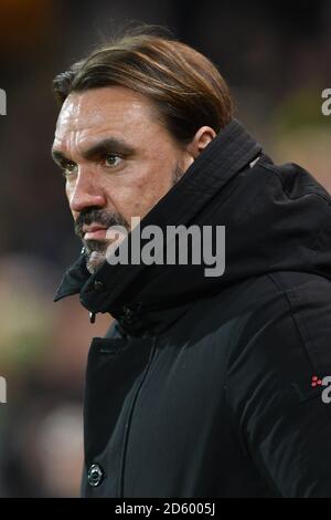 Daniel Farke, Norwich City manager Foto Stock