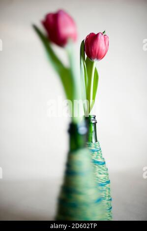 Riutilizzato le bottiglie di vetro utilizzati come vasi di fiori Foto Stock