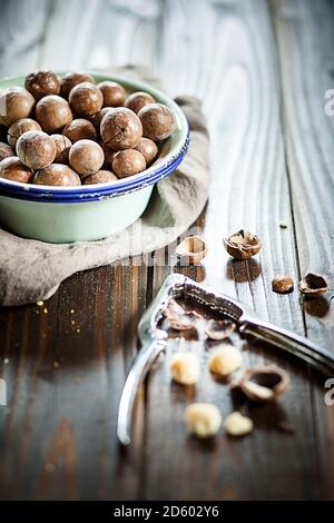 Tostati e salati di noci di macadamia in gusci, studio Foto Stock