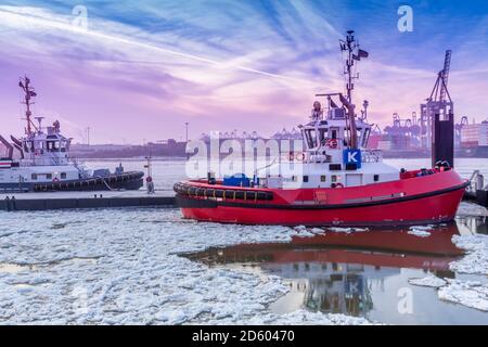 Germania, Amburgo, tugboat sul ghiacciato fiume Elba durante l'alba Foto Stock