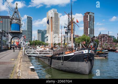 Olanda, Rotterdam, porto vecchio e museo del porto Foto Stock