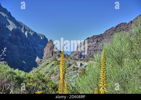 Vista sulla valle della Masca a Tenerife, Spagna. Canyon Masca a Tenerife. Foto Stock