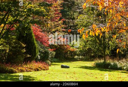 Robot rasaerba al lavoro in un grande giardino in Scozia. Foto Stock