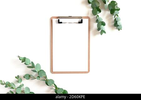 Appunti e rami di eucalipto su sfondo bianco Foto Stock