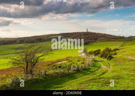 Portesham, Dorset, Regno Unito. 14 ottobre 2020. Regno Unito Meteo. Una vista autunnale di Hardy Monument vicino Portisham in Dorset dal South Dorset Ridgeway in un pomeriggio di incantesimi soleggiati e una forte brezza. Picture Credit: Graham Hunt/Alamy Live News Foto Stock