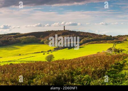 Portesham, Dorset, Regno Unito. 14 ottobre 2020. Regno Unito Meteo. Una vista autunnale di Hardy Monument vicino Portisham in Dorset dal South Dorset Ridgeway in un pomeriggio di incantesimi soleggiati e una forte brezza. Picture Credit: Graham Hunt/Alamy Live News Foto Stock