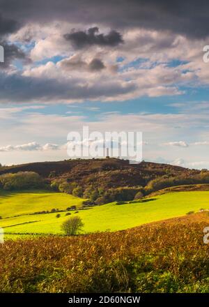 Portesham, Dorset, Regno Unito. 14 ottobre 2020. Regno Unito Meteo. Una vista autunnale di Hardy Monument vicino Portisham in Dorset dal South Dorset Ridgeway in un pomeriggio di incantesimi soleggiati e una forte brezza. Picture Credit: Graham Hunt/Alamy Live News Foto Stock