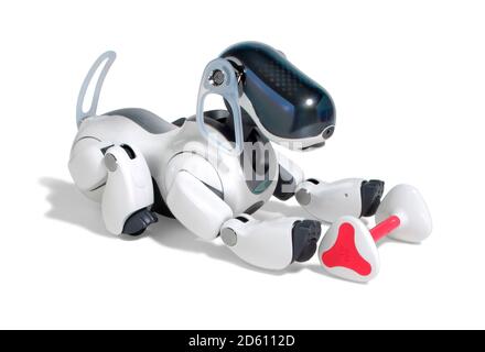 Cucciolo amore - cane robot AIBO Sony - Giappone pet robotico