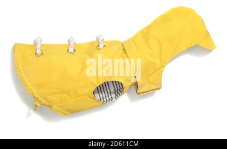 Impermeabile gialla con rivestimento interno a strisce bianche e nere, cappuccio e lacci in corda bianca per un piccolo cane fotografato su uno sfondo bianco Foto Stock