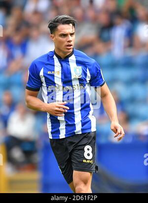 Joey Pelupessy, Sheffield Mercoledì Foto Stock