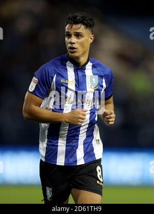 Joey Pelupessy, Sheffield Mercoledì Foto Stock