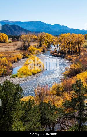 Vista autunnale del fiume Arkansas; Big Bend state Wildlife Area; tra Salida e Buena Vista; Chaffee County; Colorado; USA Foto Stock